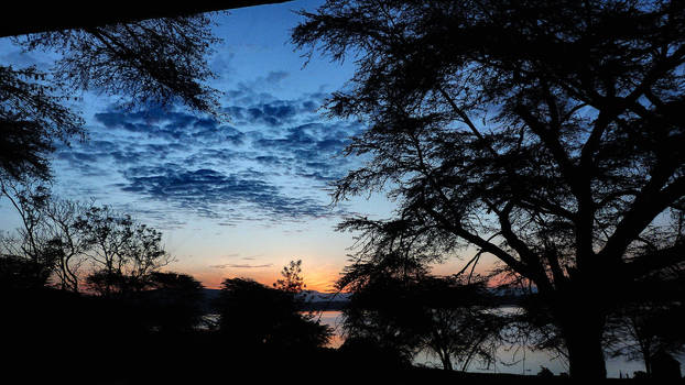 Naivasha Sunrise