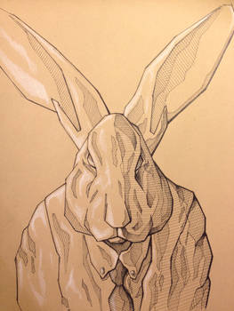 Rabbit Sketch