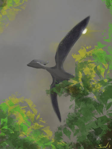 Pterodactyl Pteranodon and Pterosaur - Design by Zavraan on DeviantArt