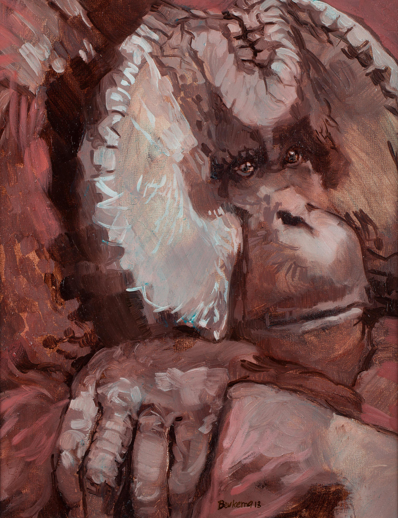 Orangutan