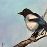 Magpie On The Branch WIP 1