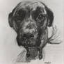 Zoey, Reddit Gets Drawn, 041423