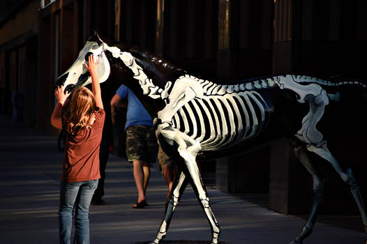 Skeleton Horse Pet