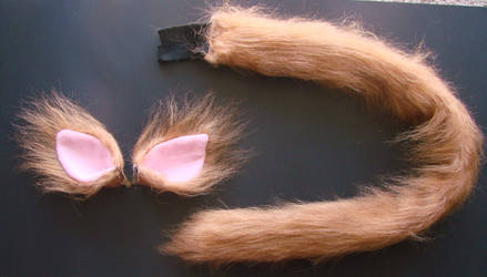 Orange Cat Ears and Tail Set