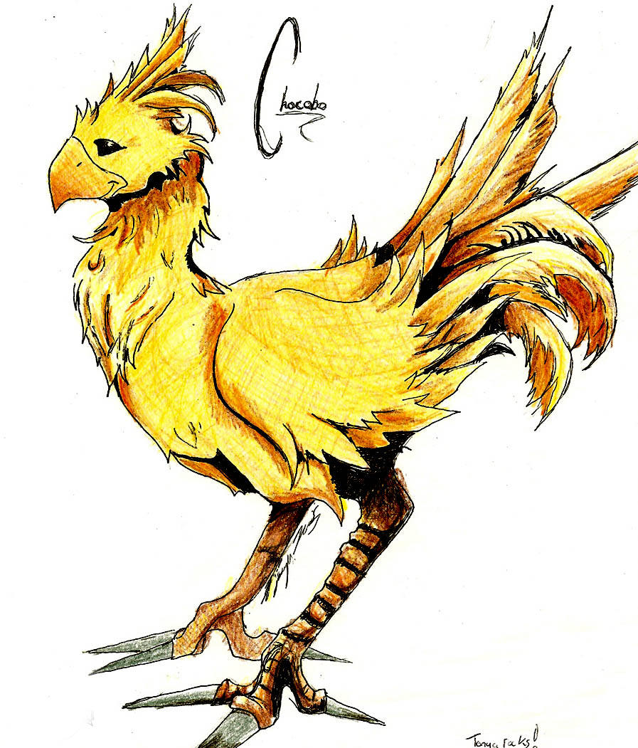 Chocobo