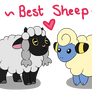Best Sheep