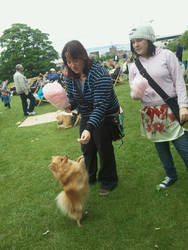 Peanut and candy floss