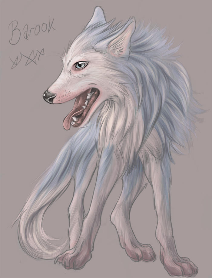 Barook Barook by Jawbone-Ashtray on DeviantArt