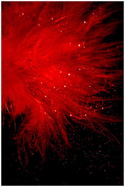 Red Feather - 2