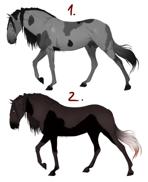 Lusitano Adopts (1/2 OPEN)