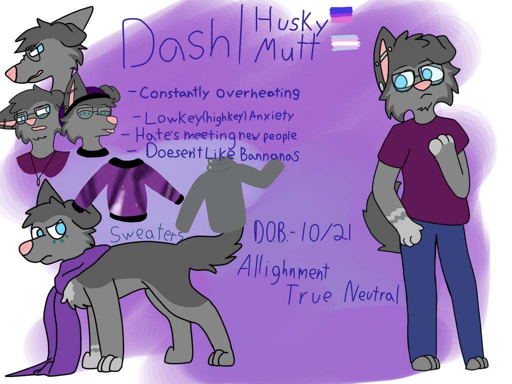 Dash Ref