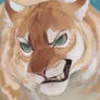 Golden tiger study draw