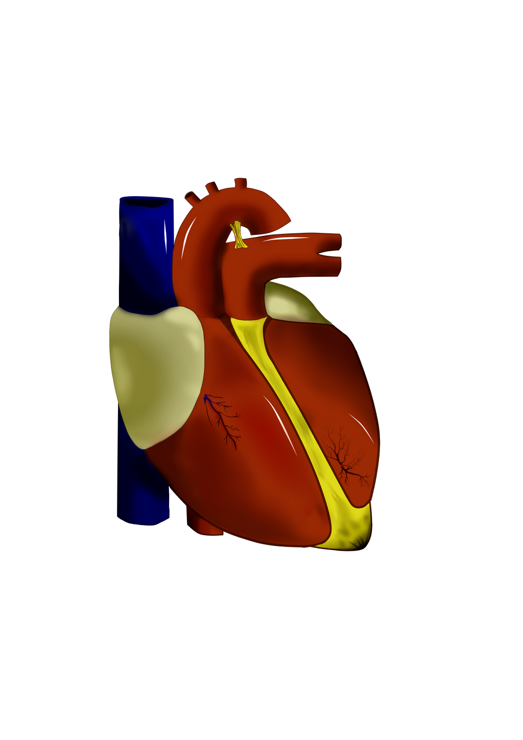 Corazon by Kroennenn on DeviantArt