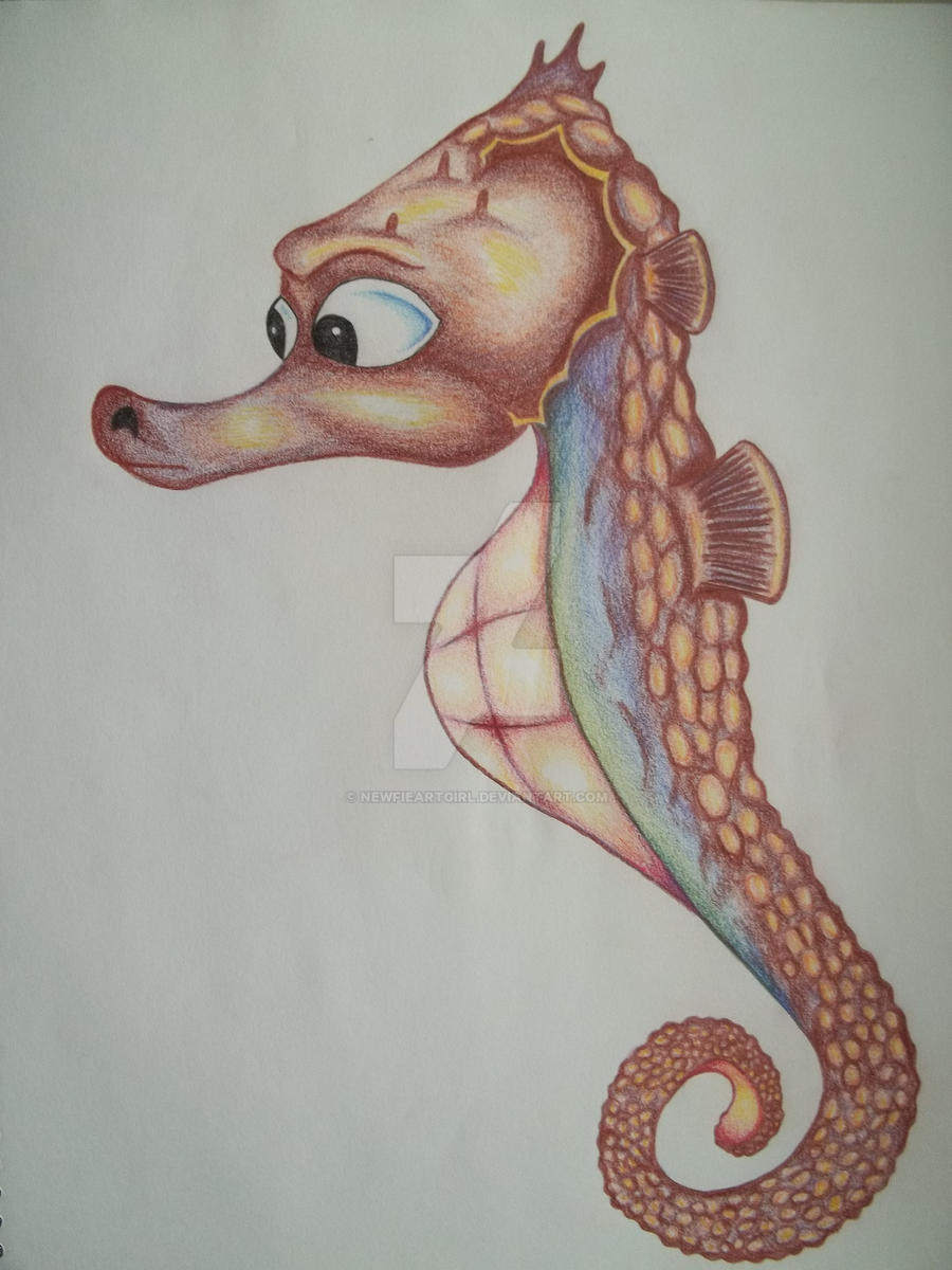 Sea Horse