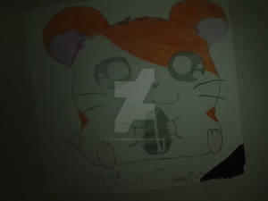 hamtaro