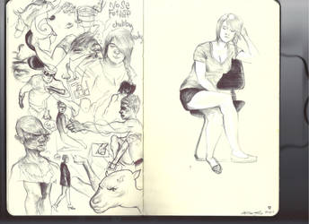 Moleskine2011-4