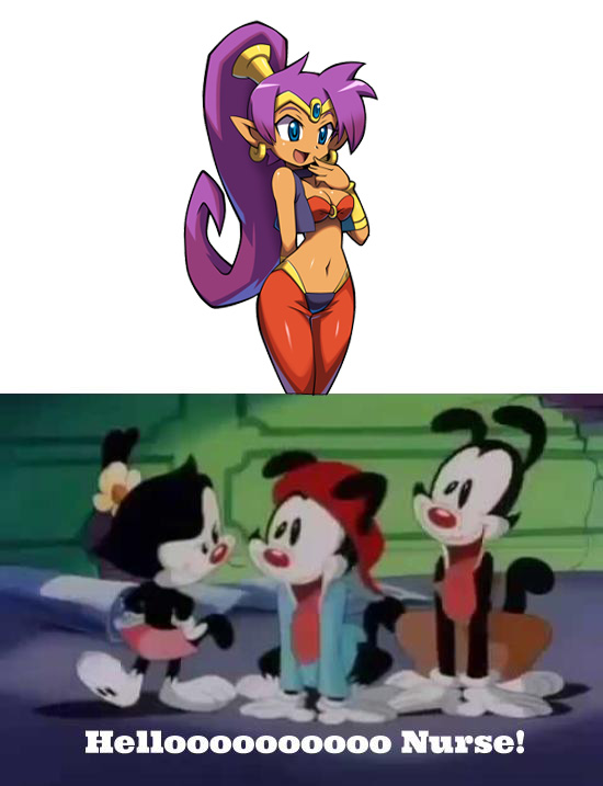 Warner Brothers Loves Shantae