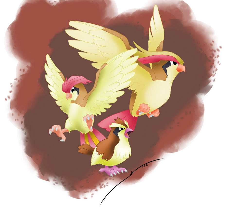 Pidgey s Family By DarkraiLady On DeviantArt pidgey-s-family-by-darkrailady-on-deviantart