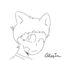 Neko Tord