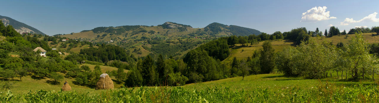 Rural panorama