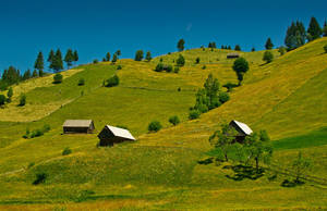 Valley in Romania