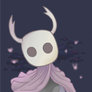 HollowKnight 