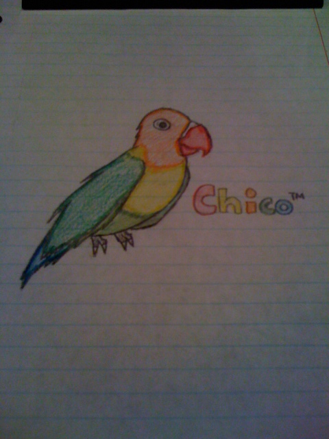 MY Bird Chico