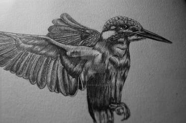 Kingfisher Tattoo design