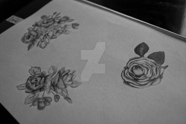 a selection of rose tattoo designs