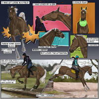 Trial 2 - Driftwood's OTTB Makeover 2024