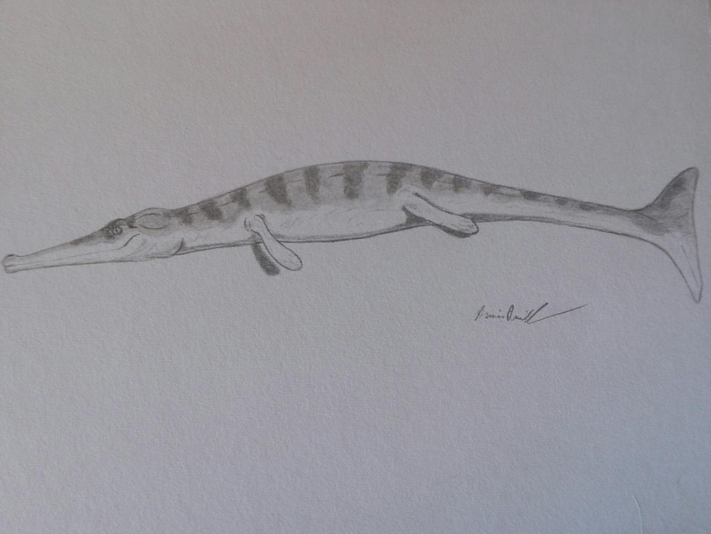Metrisaurus Drawing Metriorhynchus by ArminReindl on DeviantArt