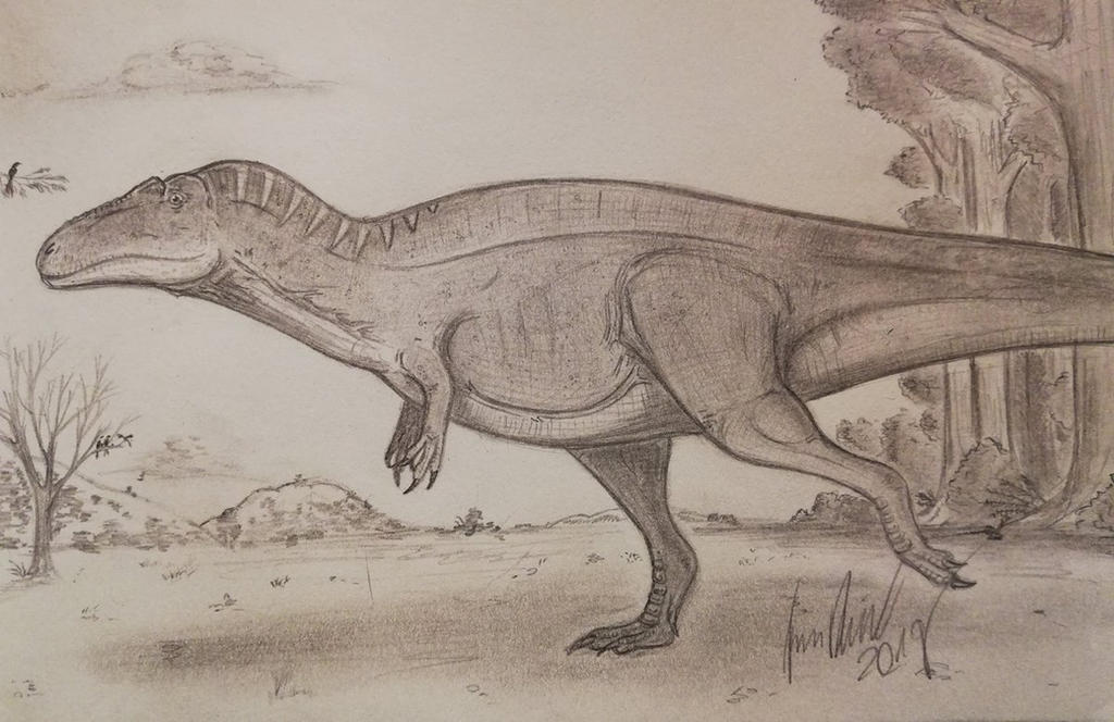 Acrocanthosaurus: High Spined Allosauroid by ArminReindl on DeviantArt