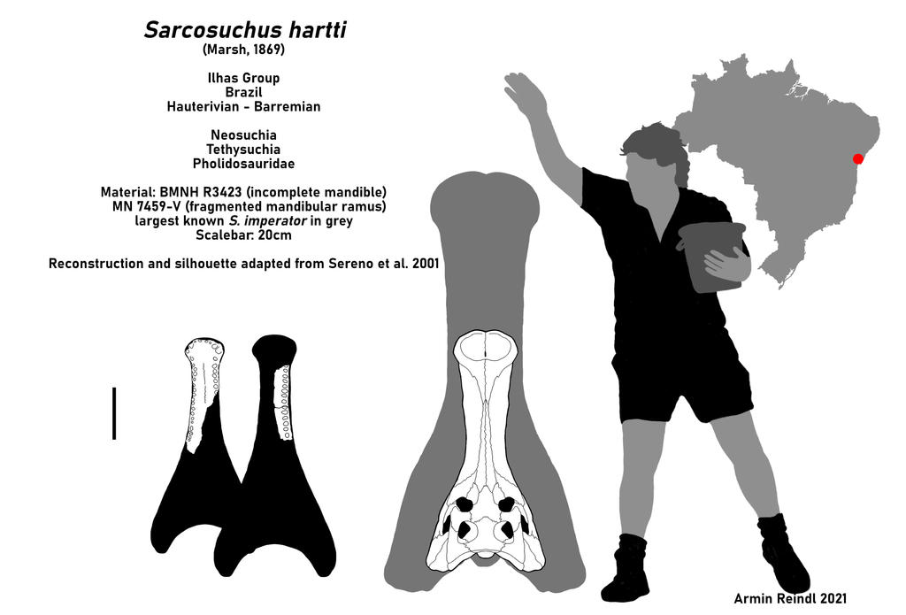 Sarcosuchus Hartti Skeletal By ArminReindl On DeviantArt sarcosuchus-hartti-skeletal-by-arminreindl-on-deviantart