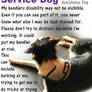 Sage the Service Dog Educational Poster