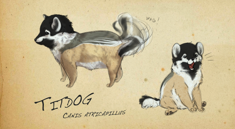 Reference Sheet: Titdogs