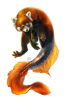 Commission: Fishpanda