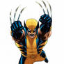 Wolverine Marvel Universe line