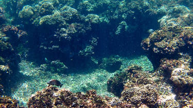 Underwater Pool