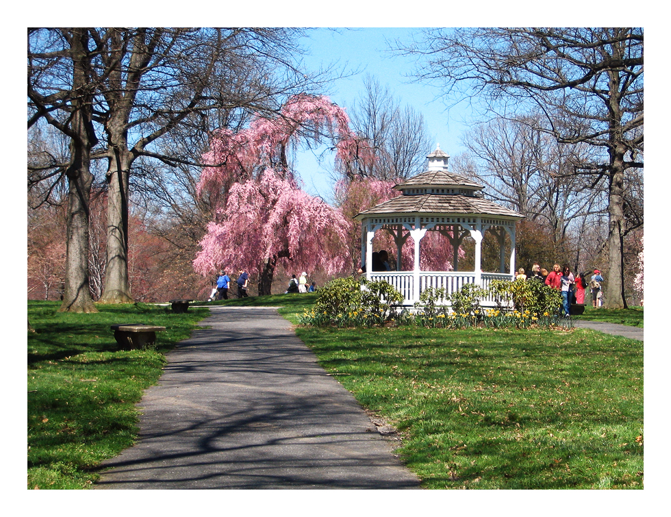 Sakura gazebo