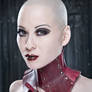 Red Acedia Posture Collar