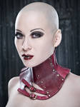 Red Acedia Posture Collar by AntisepticFashion