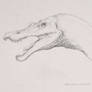 Baryonyx walkeri