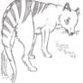 Thylacine