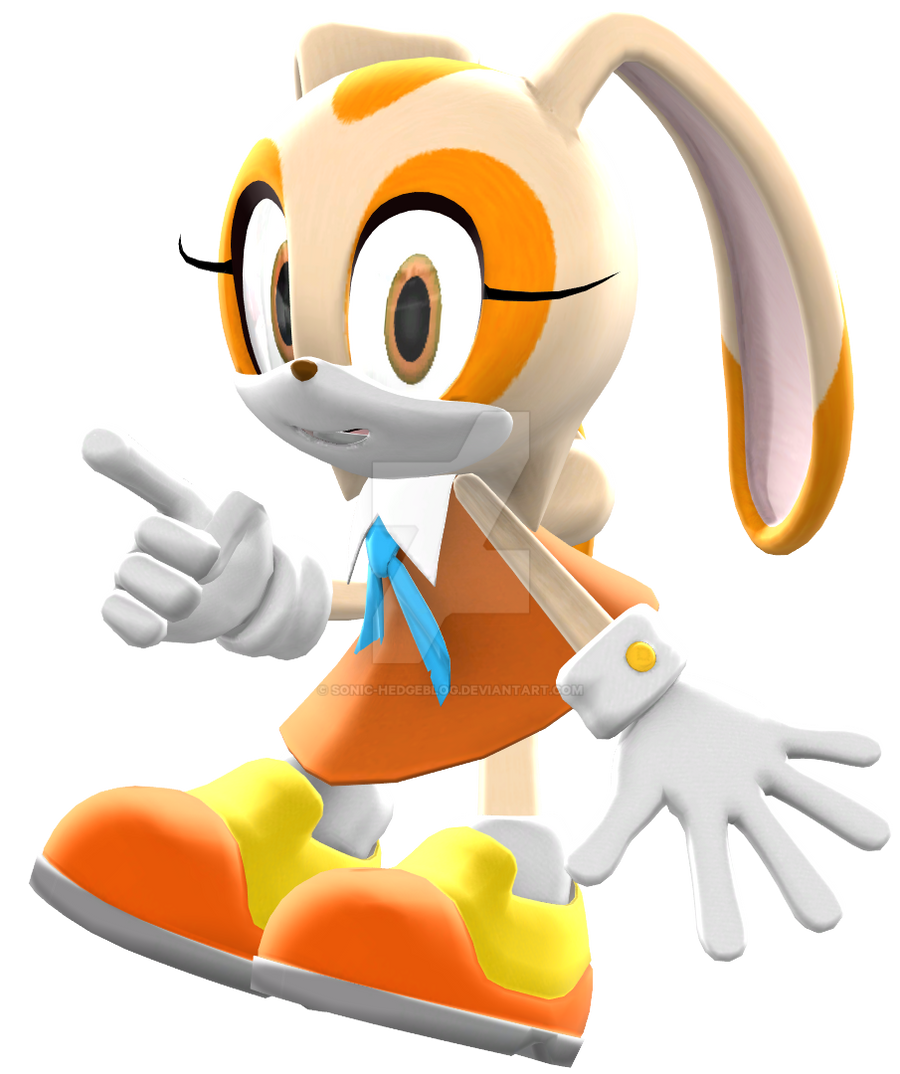 Sonic rabbit