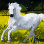 Horse in Field