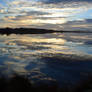 Patterns on the water...