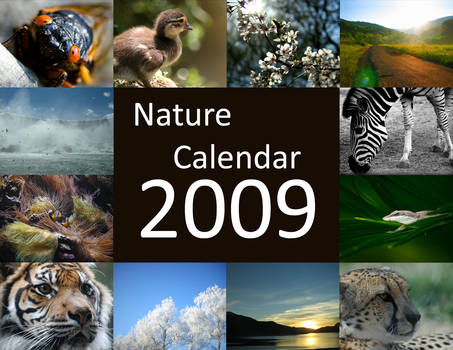 Nature Calendar 2009