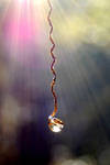 Suncatcher by whisperfae