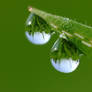 droplets...