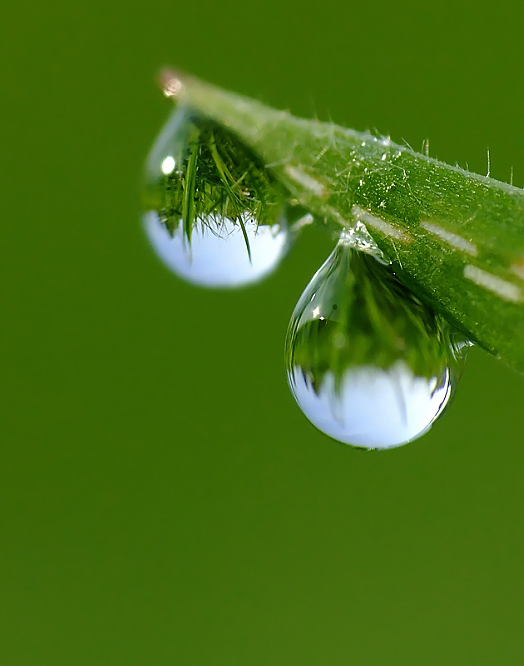 droplets...